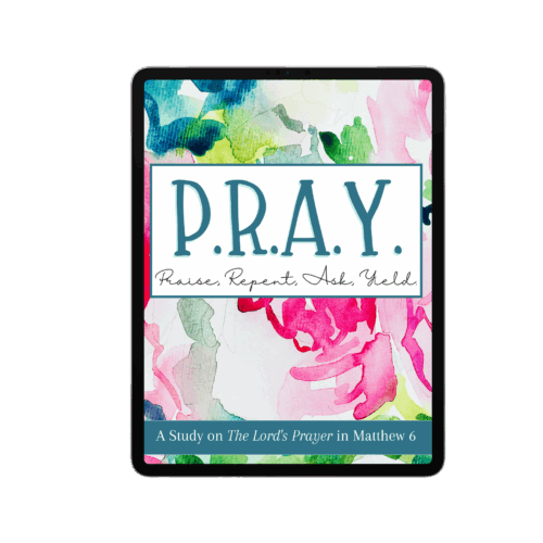 mediamodifier_image-2023-03-17T003640.507.png P.R.A.Y. homeschool resource for prayer study, biblical teaching, faith-based learning, Christian homeschool curriculum, prayer guide, Bible study material, homeschool spiritual growth tools.