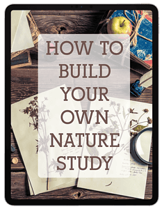 Build Your Own Nature Study