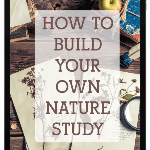 mediamodifier_image-2023-07-17T153120.552-e1728584301660.png 1. Educational homeschooling resources, books, and craft supplies for building a personalized learning environment and fostering outdoor nature study at home.