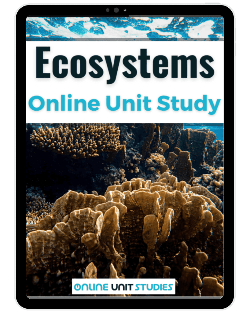 Ecosystems online homeschool unit study for homeschoolers and educators exploring nature, marine life, and ecological balance, perfect for homeschool science curriculum and resource planning.