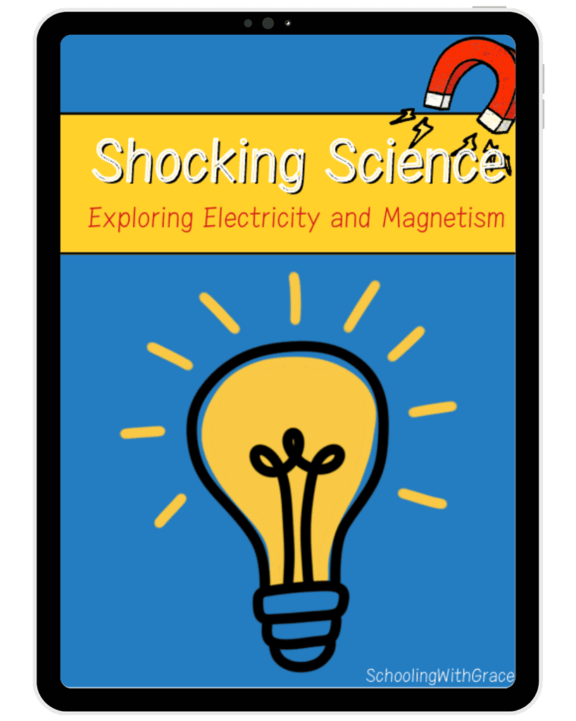 Bright digital illustration of a light bulb on a tablet screen, emphasizing science, electricity, and magnetism educational resources for homeschooling.