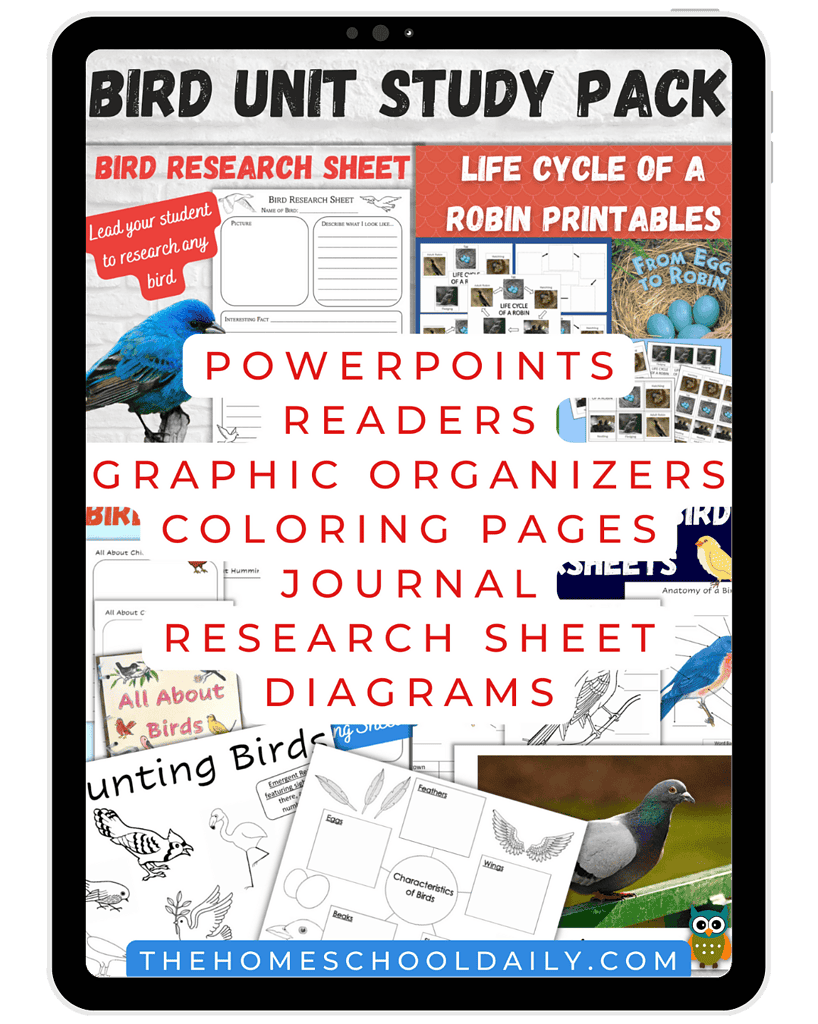 Bird study pack with research sheets, graphic organizers, coloring pages, and journal templates for homeschool science and bird education resources.