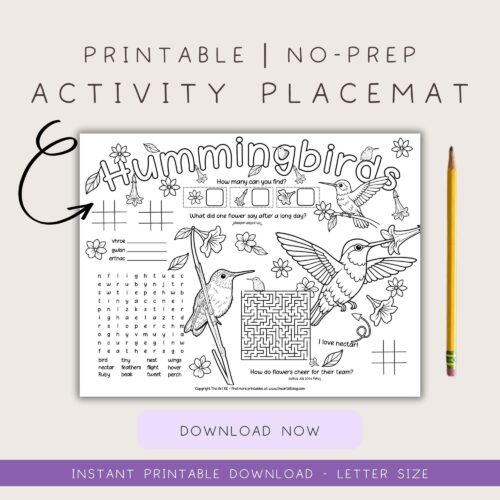 graphic Hummingbird-Placemat