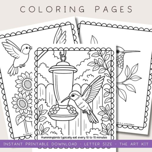 Teacher-resource-Printable-hummingbird-activity-sheet Hummingbird coloring pages with detailed floral and feeder illustrations, perfect for homeschooling crafts and educational activities.