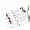 Colorful homeschool bat fact sheets and activity templates for engaging science lessons and homeschooling resources.