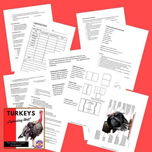 Turkey accountability worksheets and educational resources for homeschool families to teach turkey facts, vocabulary, and projects, ideal for homeschooling curriculum.