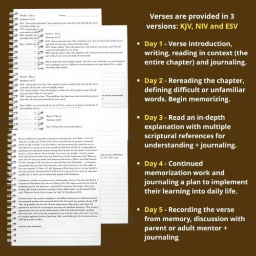 KJV NIV ESV Bible verses homeschool reading plan, daily journaling prompts, scripture memorization, parent or mentor discussion, Christian education resources for homeschoolers.