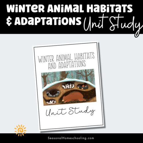 Winter Animal Habitats & Adaptations Unit Study | Winter Science Unit 1 Winter Animal Habitats & Adaptations Unit Study | Winter Science Unit sampling of pages in the unit study