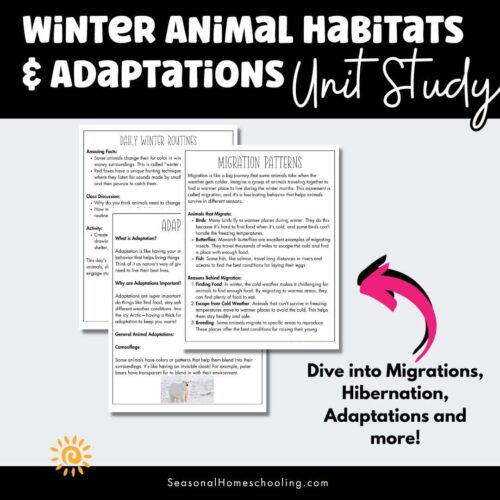 Winter Animal Habitats & Adaptations Unit Study | Winter Science Unit sampling of pages in the unit study