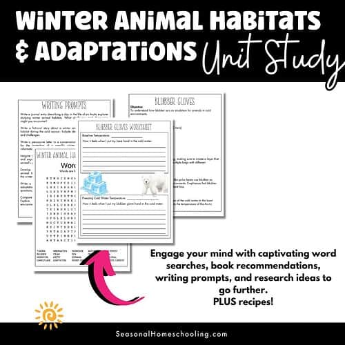 Winter Animal Habitats & Adaptations Unit Study | Winter Science Unit 3 Winter Animal Habitats & Adaptations Unit Study | Winter Science Unit sampling of pages in the unit study