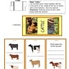 CCSS5 Black and white dairy cow, brown beef cattle, and a red and white cattle breed illustration for homeschooling science, livestock, and farm animal education.