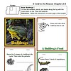 1. Brightly colored image of a bullfrog with educational homeschool resources for kids, focusing on amphibians, life cycles, and animal studies for homeschooling.