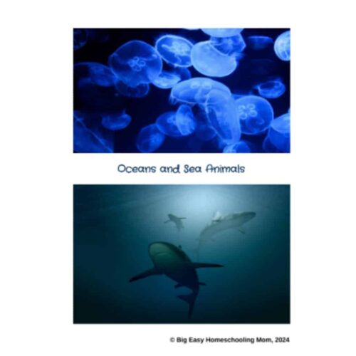 Colorful bioluminescent jellyfish swimming in the ocean, showcasing sea life and ocean animals in a vibrant underwater scene.