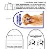 GTB3 Golden Retriever lapbook activity for homeschooling, featuring pet dog facts and coloring pages, ideal for early childhood education, language arts, and animal-themed lesson plans.