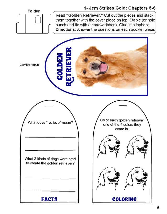GTB3 Golden Retriever lapbook activity for homeschooling, featuring pet dog facts and coloring pages, ideal for early childhood education, language arts, and animal-themed lesson plans.