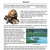 GTB8 Beaver habitat conservation, rodent family, homeschool education resources, wildlife study materials, beaver lodge habitat, nature and animal science, homeschool science activities, beaver diet and behavior, beaver ecosystem nature study, homeschooling nature exploration.