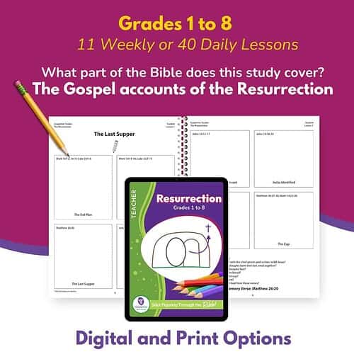 Rez 4 Study Details The Resurrection Bible Study - Grades 1 to 8