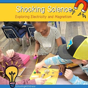 Shocking Science-Electricity and Magnetism Co-op Class