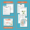 Think-On-These-Things-Bible-Study-For-Kids-Sq-Details-Graphic---Wildly-Anchored Think on this lesson plan and activity sheets for homeschool education, focusing on critical thinking, science, and life cycle topics, ideal for homeschooling resources and curriculum planning.
