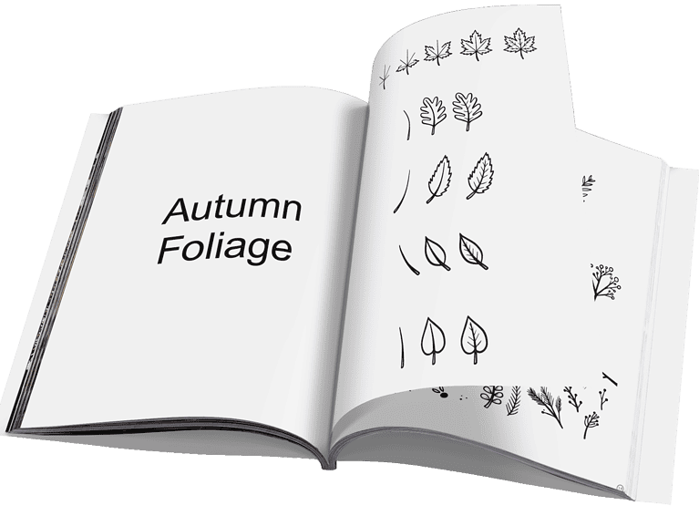 Foliage illustrations from homeschool curriculum showcasing autumn leaves for homeschooling resources.