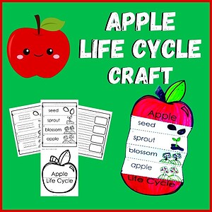 Apple Life Cycle Craft