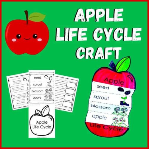 Z-65-Apple-Life-Cycle-Craft.jpg Red apple illustration with a cute face, part of homeschool STEM activities for young learners.