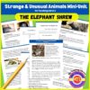 Z-78-Elephant-Shrew.jpg Elephant shrew animals mini-unit homeschool resource for teaching about unusual animals and their habitats.