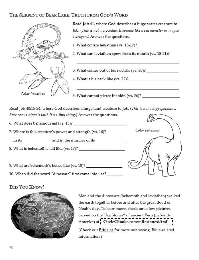 Leviathan water creature illustration for biblical science study, focusing on Job 41 questions about marine animals and God's creation, suitable for homeschool science lessons.
