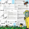 bee flatlay - Copy Beekeeping educational worksheets featuring bee anatomy, roles, and hive maintenance for homeschooling, designed for young learners. Includes printable lesson plans and engaging activities for kids.
