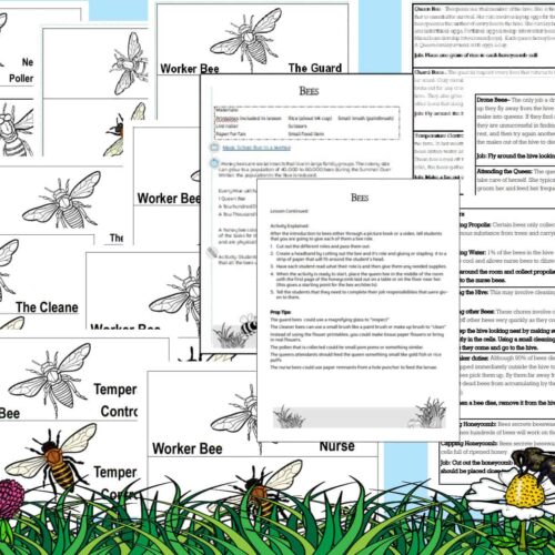 Beekeeping educational worksheets featuring bee anatomy, roles, and hive maintenance for homeschooling, designed for young learners. Includes printable lesson plans and engaging activities for kids.