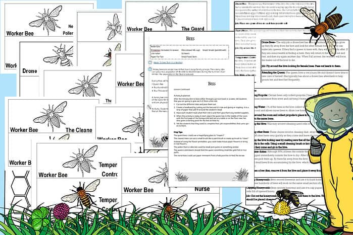 bee flatlay - Copy Beekeeping educational worksheets featuring bee anatomy, roles, and hive maintenance for homeschooling, designed for young learners. Includes printable lesson plans and engaging activities for kids.