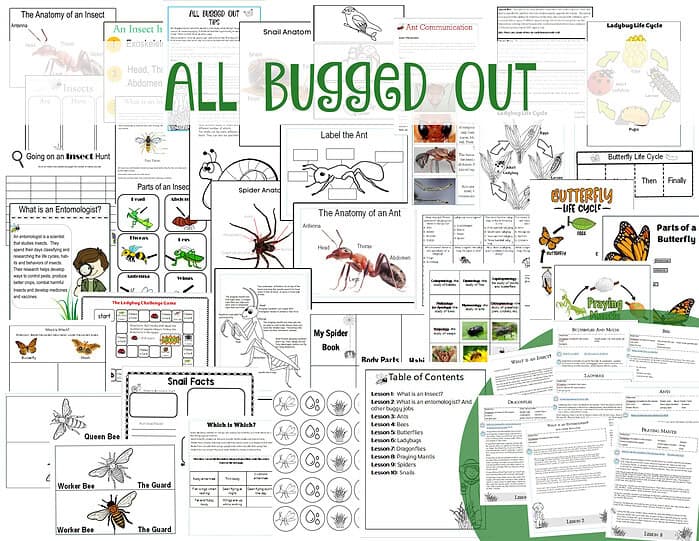 buggedoutpreview Insect anatomy and life cycle educational resources for homeschooling, including printable worksheets, diagrams, and activities focused on ants, butterflies, bees, spiders, and more.