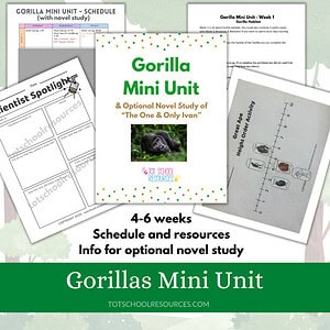 Gorilla Mini Unit Study