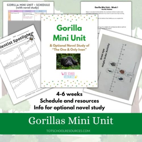 Gorilla Mini Unit homeschool science resource with lesson plans, activities, and optional novel study for 4-6 weeks focused on gorilla biology and behavior.