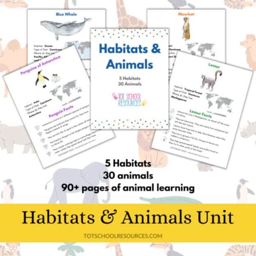 cropped-Habitat-and-Animals-etsy-image.jpg Blue whale habitat illustration for homeschool animal learning activity.
