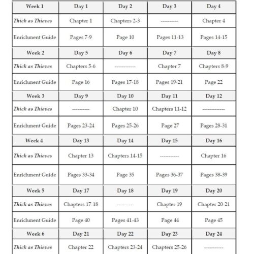 Thick as Thieves homeschool curriculum daily schedule, book chapters, and enrichment guide for effective homeschooling planning and literacy development.