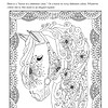 equine Coloring page featuring an elegant, whimsical horse with flowing mane, floral accents, and intricate border designs, perfect for homeschooling art activities and creative learning.
