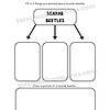 Scarab beetles nature educational worksheet for homeschooling and science learning.