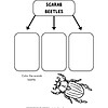1. Educational worksheet for homeschooling, featuring a science activity to learn about scarab beetles and their characteristics, ideal for kids' STEM and nature studies.
