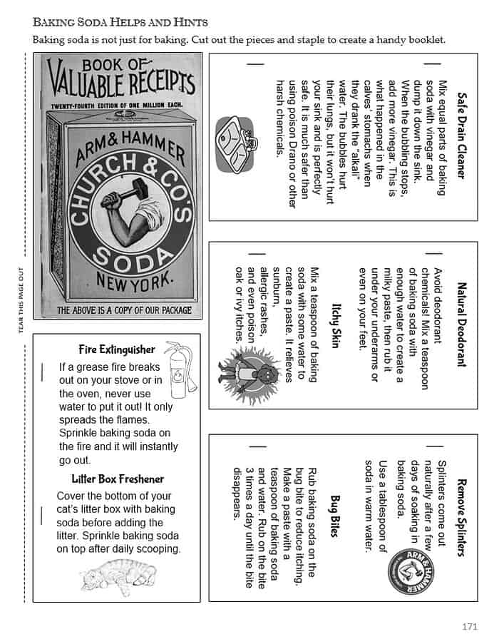 Arm and hammer soda vintage recipe booklet for homeschool science and chemistry educational resource.