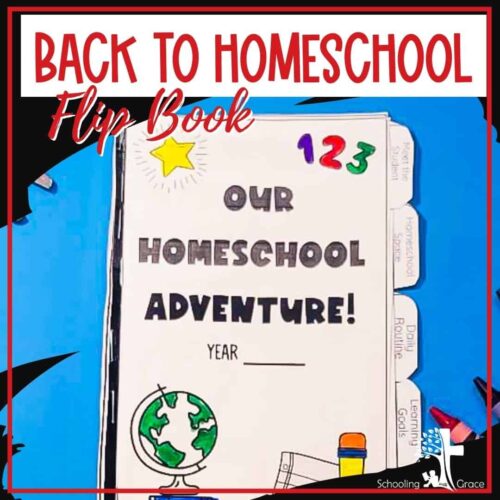 Back to school homeschool flip book, educational homeschool resource, kids learning activities, homeschool planning, back to school supplies, homeschool curriculum, homeschooling tools, playful learning, teaching resources, homeschool adventure tool.