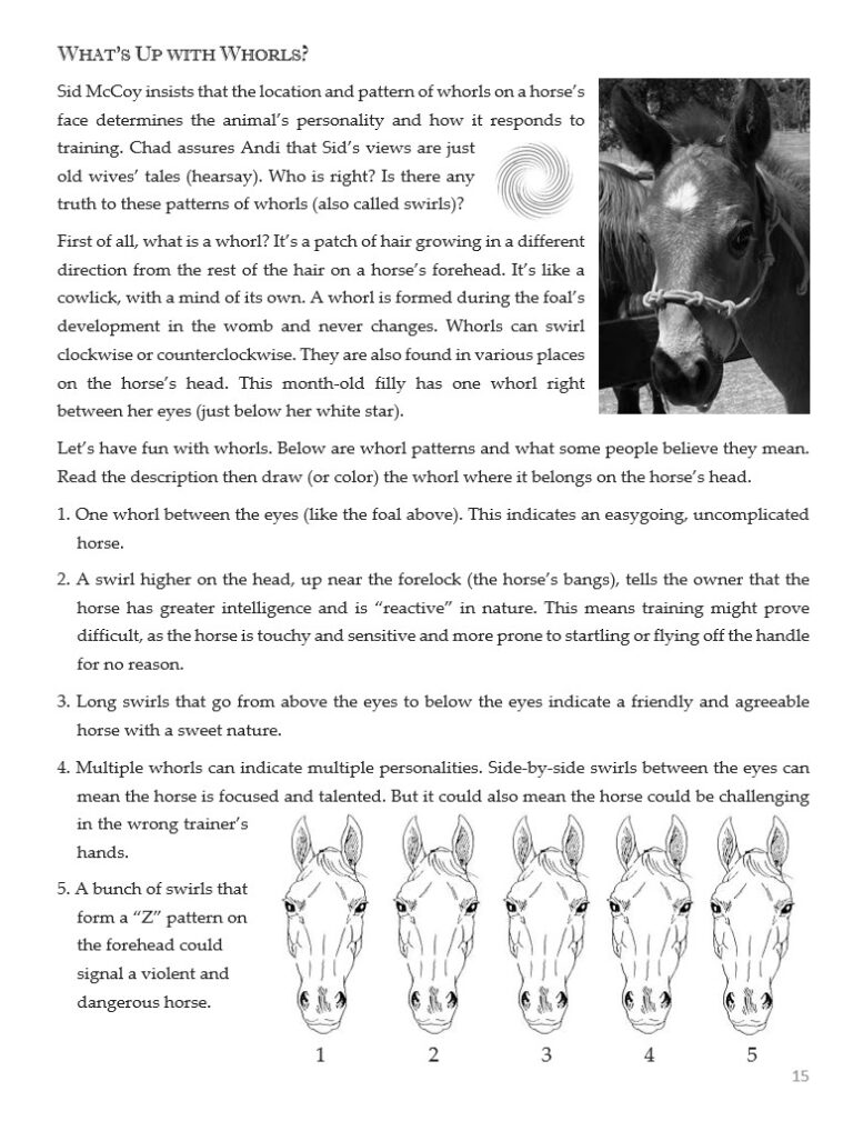 1. Horse with a halter standing outdoors, emphasizing horse behavior and training, ideal for homeschooling resources about equine education and animal science.