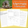 Koala hugging a tree branch on green grass background, educational research activity sheet about mammal marsupials, homeschooling animal study printable, kids biology activity, homeschool science resource.