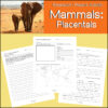 Elephants in a savannah landscape, promoting homeschool science activities focused on mammals and placental research.