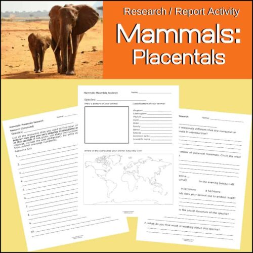 Elephants in a savannah landscape, promoting homeschool science activities focused on mammals and placental research.
