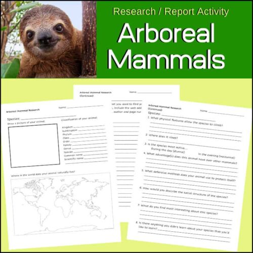 Arboreal mammals research activity sheet for homeschooling, educational resource for teaching about animal classification, habitats, and mammals’ physical features, suitable for homeschool science lessons.