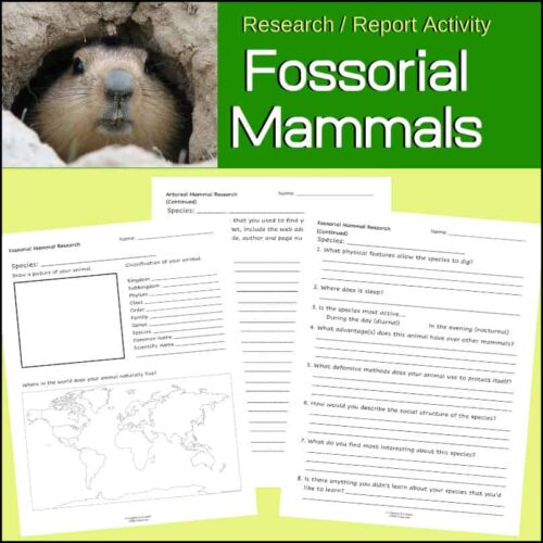 Fossorial-mammals-research-report-activity-for-homeschooling.