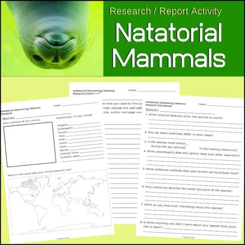 Natatorial mammals research activity worksheet for homeschool science lessons.