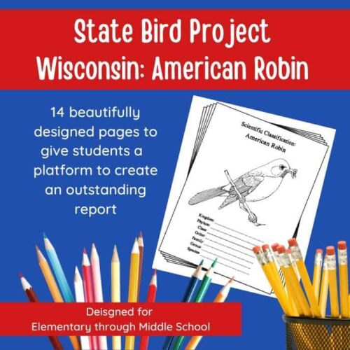 State Bird Project Wisconsin American Robin educational homeschool resource for elementary to middle school science reports and science classification studies.