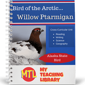 Bird of the Arctic - Willow Ptarmigan